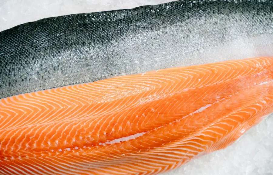 Chilean Salmon