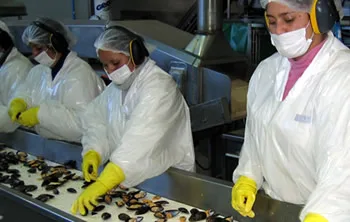 Human capital, safety, and training.